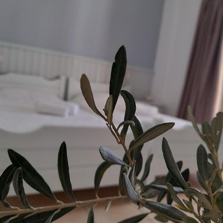 Elia Bed & Breakfast Скала Екстериор снимка